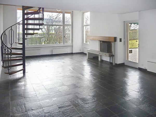 Villa familiale avec grand jardin ? Founex 7