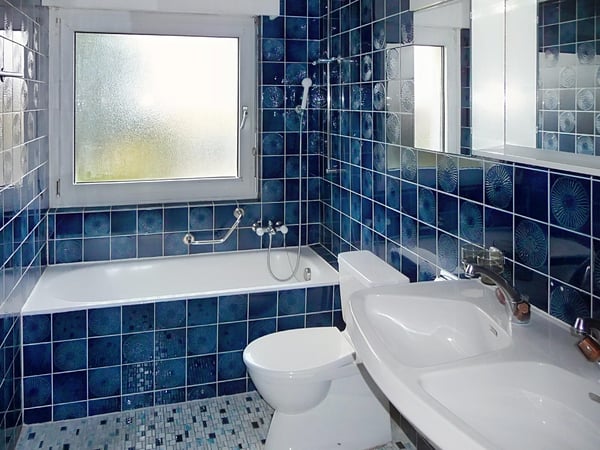 Villa familiale avec grand jardin ? Founex 10