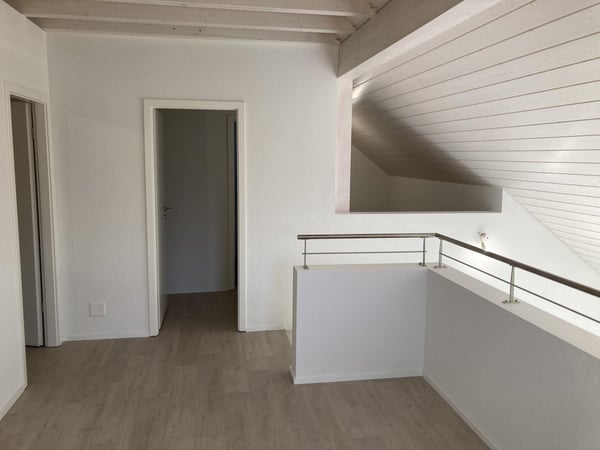 Magnifique duplex de 2½ pièces avec grande mezzanine 2