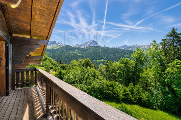 Chalet familial de 6,5 pièces à Gryon, proche des commodités 2