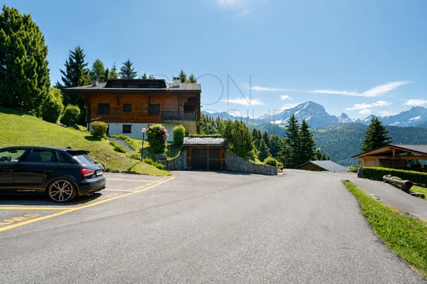 Appartement 2.5 pièces à Gryon avec terrasse de 47 m² 1