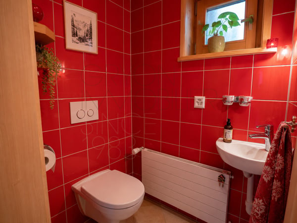 Chalet à Gryon - 110 m² entièrement rénové au coeur du village 12