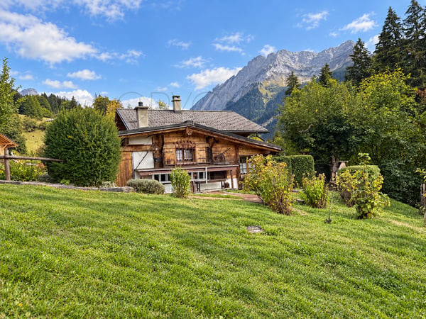 Chalet familial typique à Gryon avec jardin et dépendances 13