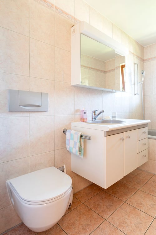 Appartement de 2,5 pièces entre lac et montagne 6