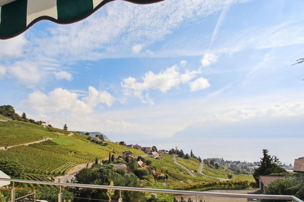 Entre Lac et Vignes ! 1