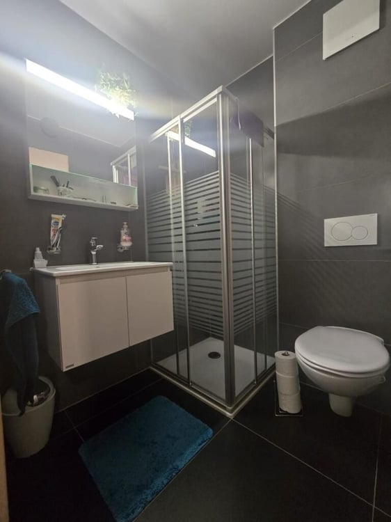 Appartement de 1.5 pièces au rez étage avec terrasse 4