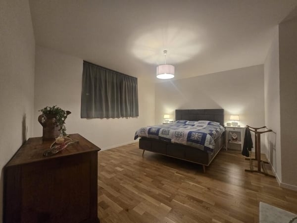 Appartement de 1.5 pièces au rez étage avec terrasse 2