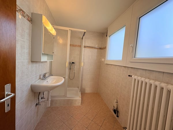 Bex : à louer superbe appartement indépendant de 3.5 pièces avec terrasse 13