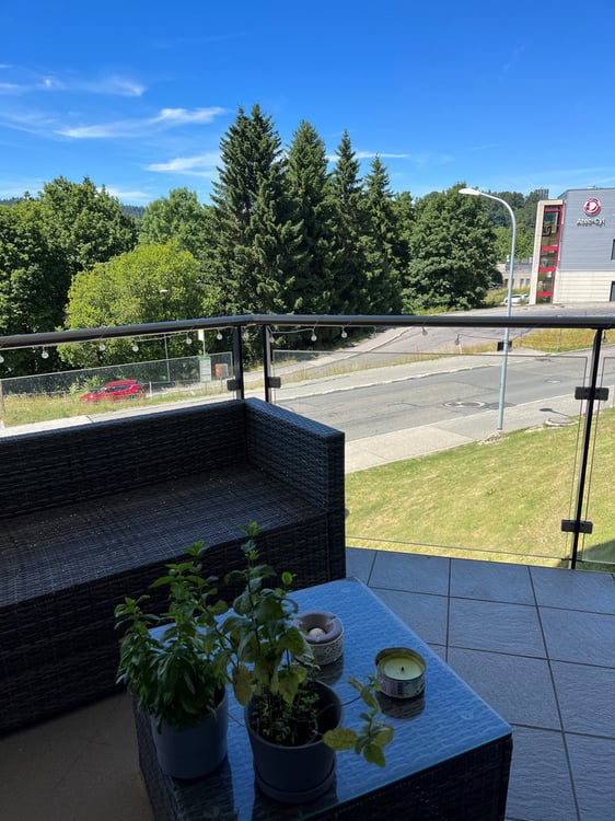 Appartement de 1.5 pièces avec balcon 4