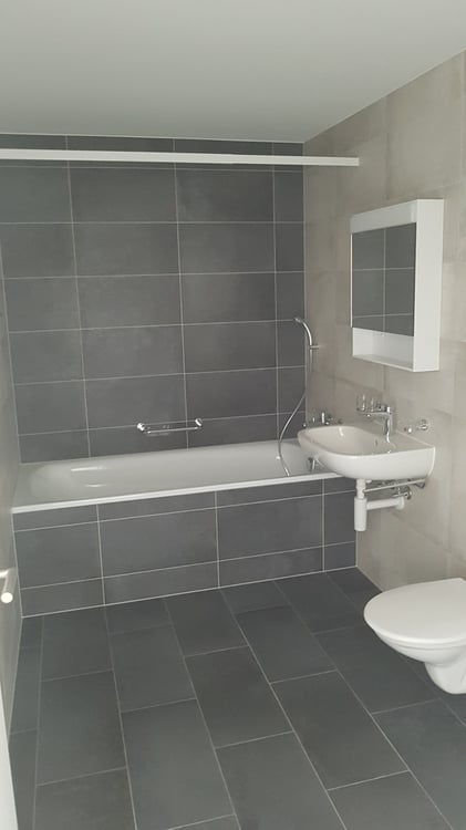 Appartement 1.5 pièces avec balcon 9