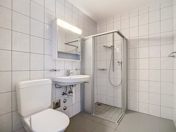 Appartement duplex 3 pièces 10