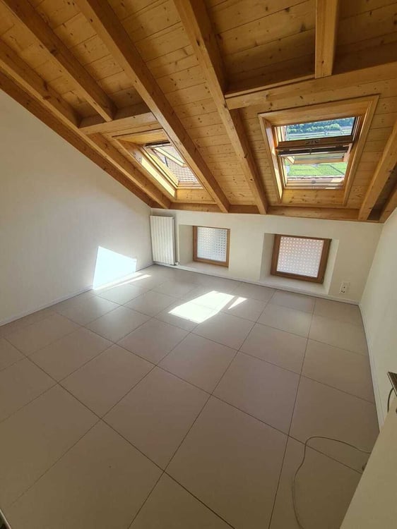 Appartement de 2,5 pièces dans les combles 1