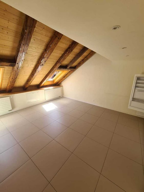 Appartement de 2,5 pièces dans les combles 2