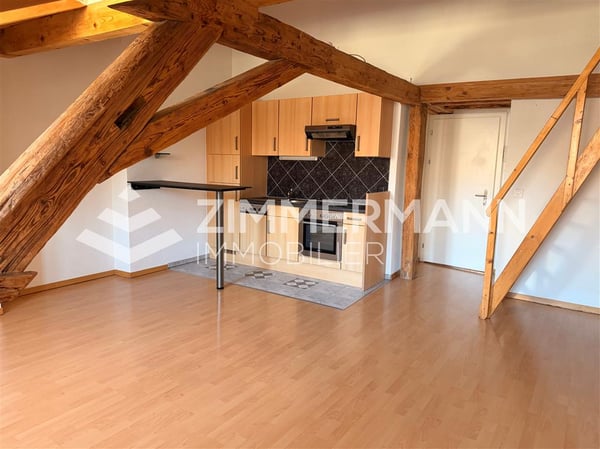 Appartement,2.5,50 2