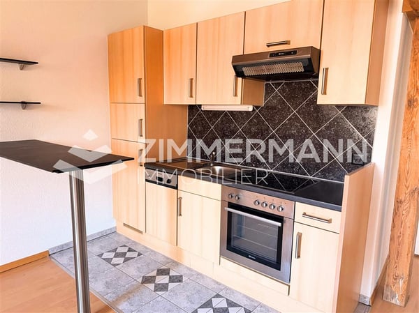Appartement,2.5,50 11