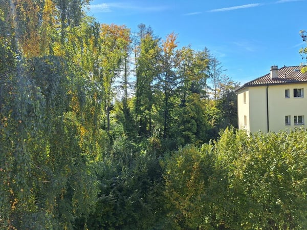 A LOUER : Surface commerciale aux Boveresses 42 6