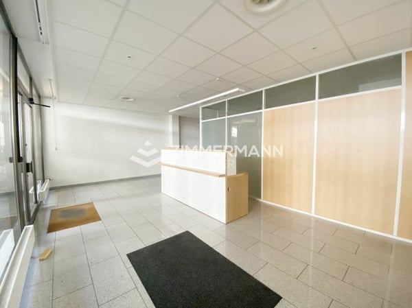 Jolie arcade dans le quartier de Sécheron 2