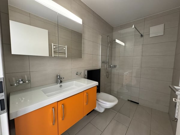 Immeuble de rendement mixte 10