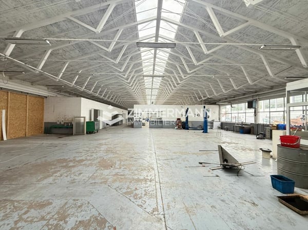 Surface industrielle à Meyrin 3