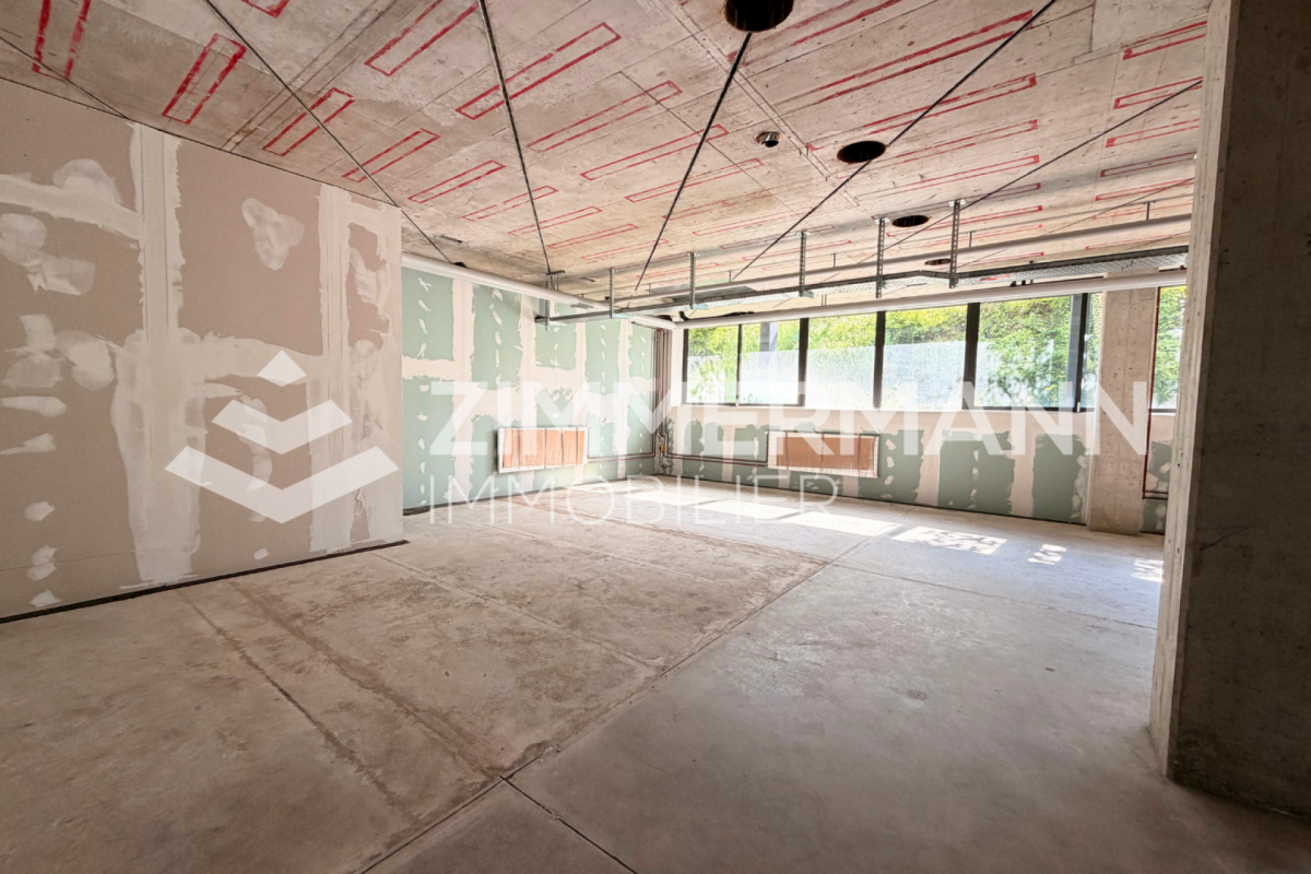 Grande surface commerciale de 350 m² à Ecublens - Un espace à fort potentiel pour votre activité