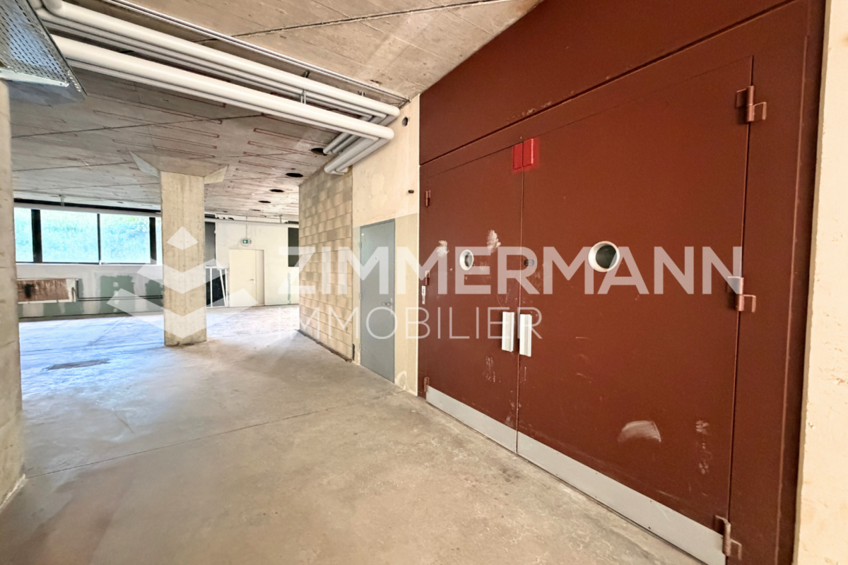 Grande surface commerciale de 350 m² à Ecublens - Un espace à fort potentiel pour votre activité