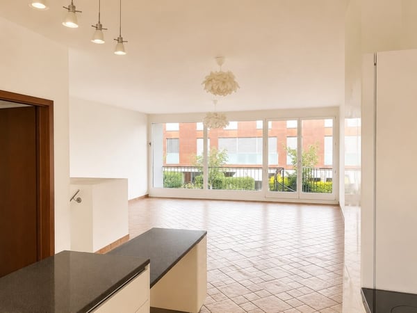 Beau duplex lumineux traversant  de 5.5 pièces avec jardins 3