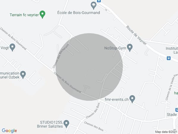 Charmante villa de 6 pièces à Veyrier 11