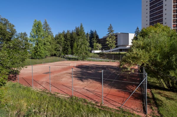 2.5pces en SI avec vue panoramique sur les montagnes – Crans-Montana 22