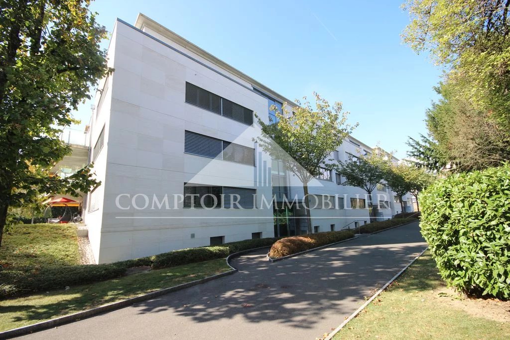 Apartment for rent in homegate.ch