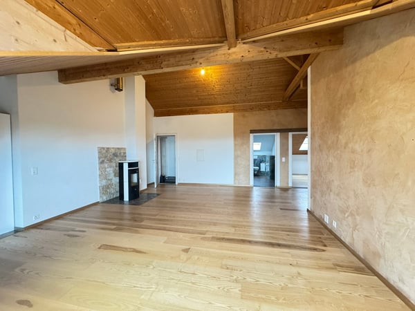 A louer superbe appartement de 3.5 pièces avec vue 2