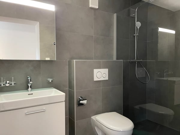 Grand appartement de 7 pièces à Giez 10