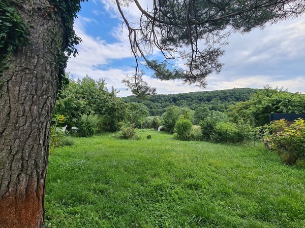 Charmant appartement de 5 pièces à Ferreyres avec grand jardin 13