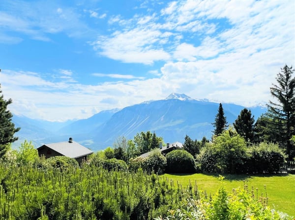 Spacieux et lumineux 3.5 pces - Magnifique propriété calme - Superbe vue - Très grande parcelle 15