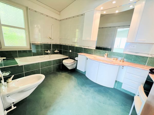 Spacieux et lumineux 3.5 pces - Magnifique propriété calme - Superbe vue - Très grande parcelle 5