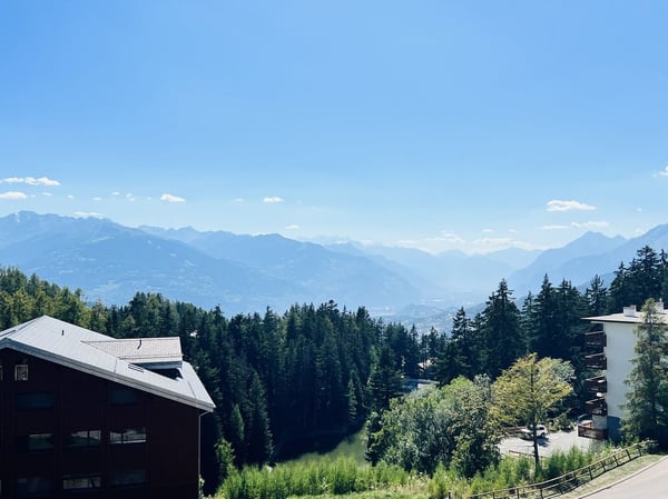 Prächtige 2.5-Zimmer-Wohnung renoviert - Geräumig und hell - Gut gelegen - Außergewöhnliche Aussicht 13