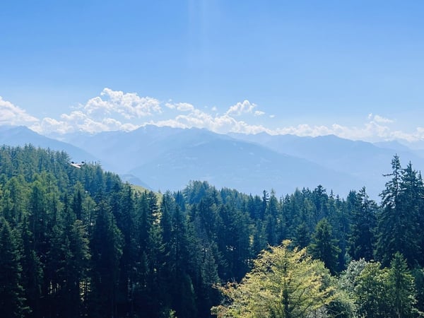 À LA SAISON: Magnifique 1.5 pièces - Spacieux et lumineux - Superbe vue - Bien situé - Lieu calme 16