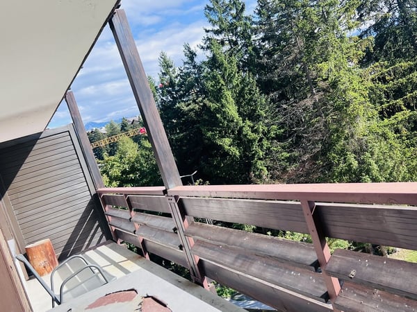 À LA SAISON: Magnifique 1.5 pces rénové - Spacieux & Lumineux - Belle vue - Bien situé - Lieu calme 14