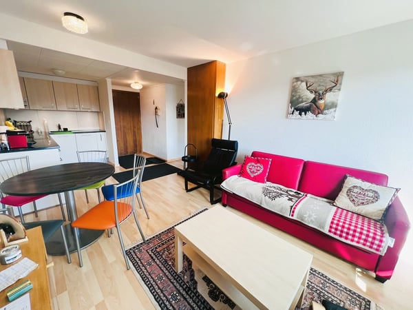 À LA SAISON: Magnifique 1.5 pces rénové - Spacieux & Lumineux - Belle vue - Bien situé - Lieu calme 4