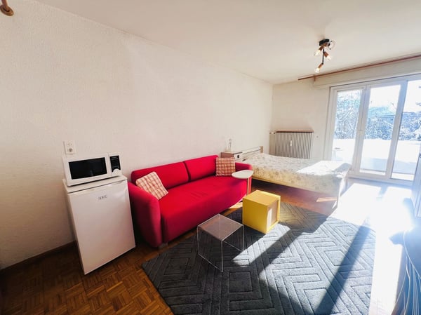 Joli studio partiellement rénové - Spacieux et lumineux - Lieu très calme - Bien situé - Belle vue 2