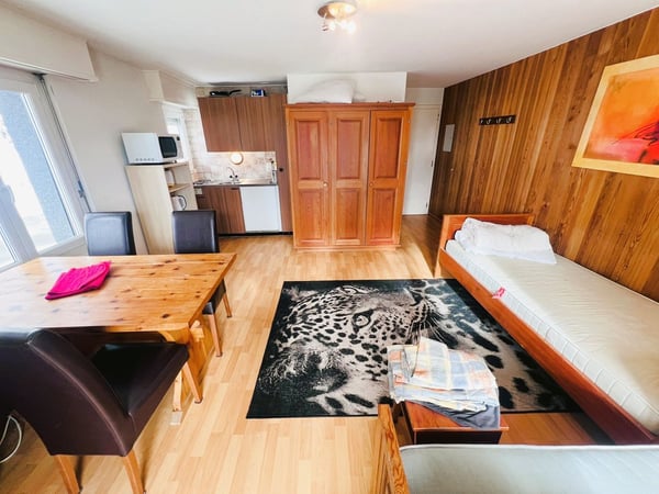 Joli studio - Spacieux et lumineux - Partiellement rénové - Lieu très calme - Bien situé - Belle vue 4