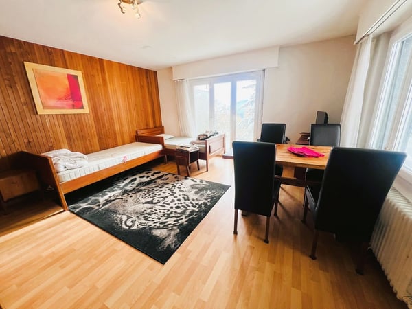 Joli studio - Spacieux et lumineux - Partiellement rénové - Lieu très calme - Bien situé - Belle vue 1