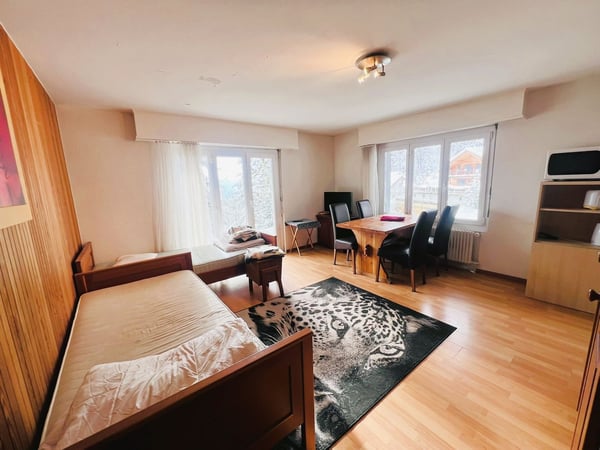 Joli studio - Spacieux et lumineux - Partiellement rénové - Lieu très calme - Bien situé - Belle vue 3