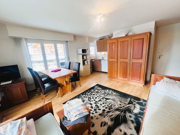 Joli studio - Spacieux et lumineux - Partiellement rénové - Lieu très calme - Bien situé - Belle vue 6