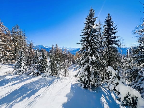 Joli studio - Spacieux et lumineux - Partiellement rénové - Lieu très calme - Bien situé - Belle vue 11