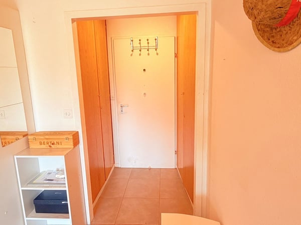 Spacieux et lumineux studio de 1.5 pièces - Très bien situé - Endroit très calme - Magnifique vue 4