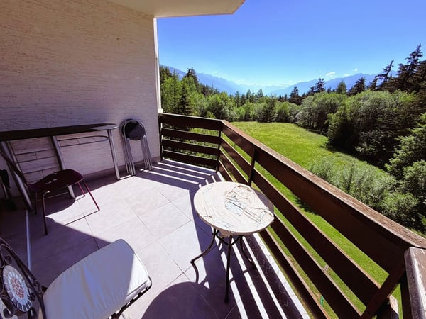 Spacieux et lumineux studio de 1.5 pièces - Très bien situé - Endroit très calme - Magnifique vue 12
