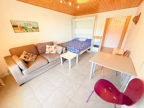 Spacieux et lumineux studio de 1.5 pièces - Très bien situé - Endroit très calme - Magnifique vue 2