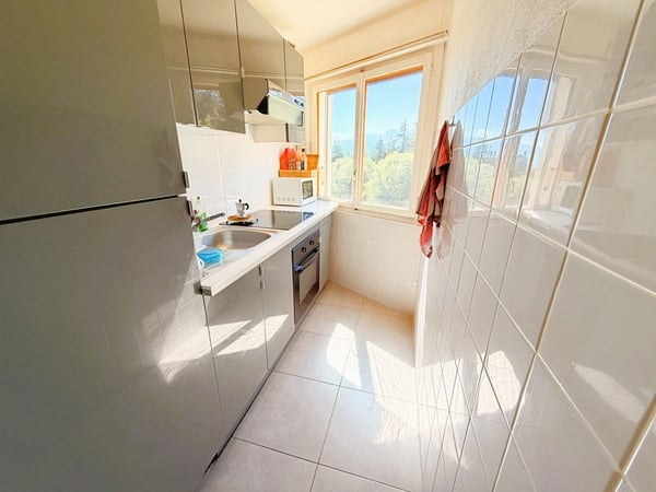 Spacieux et lumineux studio de 1.5 pièces - Très bien situé - Endroit très calme - Magnifique vue 8