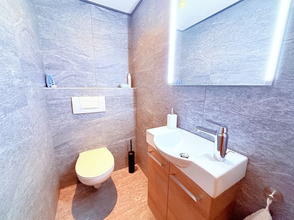 Magnifique 3.5 pces entièrement rénové - Spacieux et lumineux - Lieu calme - Bien situé - Belle vue 15