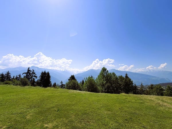 Magnifique 2.5 pièces - Spacieux et Lumineux - Superbe terrasse - Vue extraordinaire - Lieu calme 16